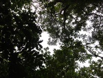 46707DSC02042.JPG