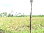 31211CIMG1073.JPG