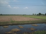 34467IMG_5450.JPG