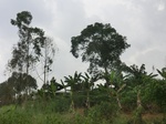 49902CIMG6239.JPG