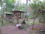 31833IMG_5313.JPG
