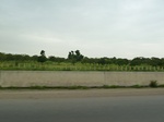 18682P1000520.JPG