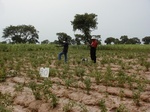 12259GT080_Pepe_crusted_Soil_Surface.JPG