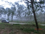 52882CIMG4967_调整大小.JPG