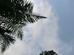 46116CIMG0405.JPG
