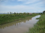 15558IMG_4628.JPG