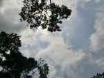 46325CIMG0614.JPG