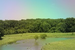 2024-06-17_21-39-47_91D26E78-1E04-478C-9077-782F59FD889B.jpeg