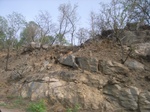 3785RIMG0089.JPG