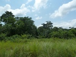 25318P1020162.JPG