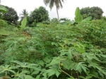 45361CIMG2446.JPG