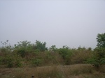 3878RIMG0182.JPG