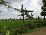 31555CIMG1421.JPG