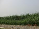 32992CIMG2142.JPG