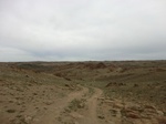 37018CIMG0810.JPG