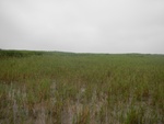54494DSCN1775.JPG