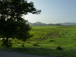 19393P1010240.JPG