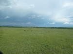 38150P1080075.JPG
