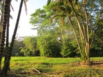 31930IMG_5719.JPG