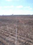 51465Vic001_L3.JPG