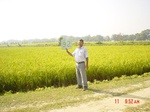 6625gt092-cropland-2.jpg