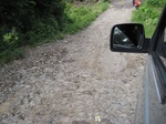 13738IMG_3999.JPG
