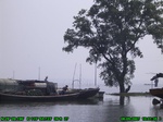 1448R0015173_tag.jpg