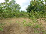18639P1000477.JPG