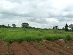 18830P1000669.JPG