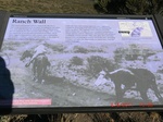 36234CIMG3429.JPG