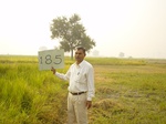 11411gt185-cropland-1.jpg