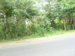 20929P1020796.JPG