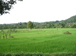 14636IMG_5016.JPG