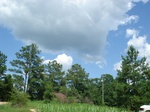 32485p147.jpg