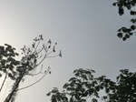 48084CIMG4421.JPG
