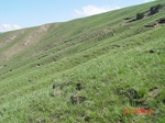 275962002-G97.JPG