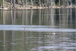 394IMG_3503.JPG