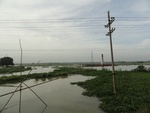 24510DSC00427.JPG