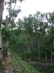 53527CIMG6872.JPG