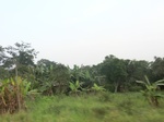 50017CIMG6354.JPG
