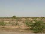 19063P1000908.JPG