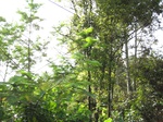 14699IMG_5081.JPG