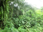 44872CIMG2057.JPG