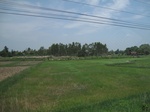 34429IMG_5412.JPG
