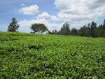32166IMG_0759.JPG