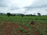 18828P1000667.JPG