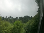 57482CIMG3862.JPG
