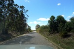28409P1010420-1.JPG