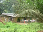 47692CIMG4029.JPG