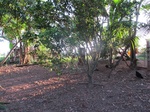 32025IMG_5697.JPG